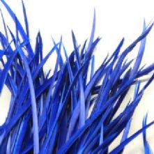 Royal Blue Goose Biots Feathers